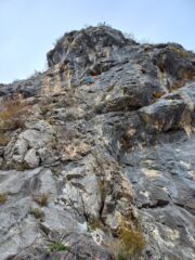 Roby su Brasileira 6a