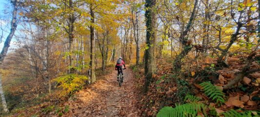 Sul percorso arancione