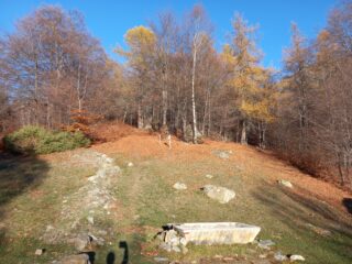 Inizio sentiero nel bosco