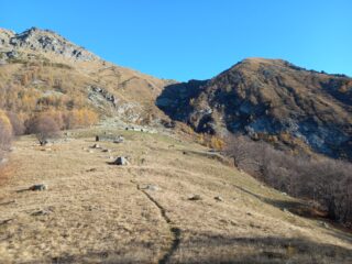 Usciti dal bosco