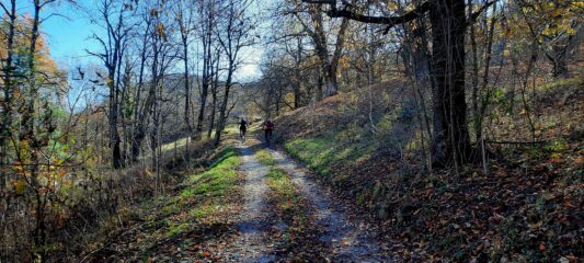 Si torna su verso il monte Croce