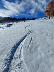 Qualche bella curva nella parte alta