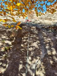 L3 - placca muschiata