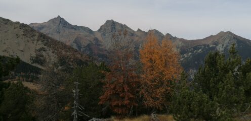 Panorama verso il monte Avic