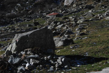 In arrivo all’Alpe Balme