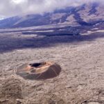 La Formica Léo