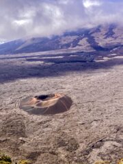 La Formica Léo