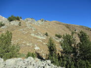 Costa Ciagrea con in fondo la Cima delle Roccate (m.2480)