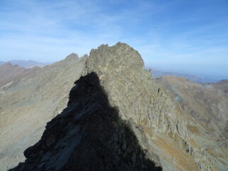 La cresta da percorrere con l'ombra della Gastaldi