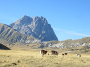 Corno Grande