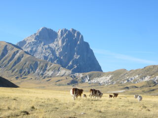 Corno Grande