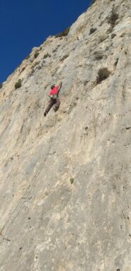 Opera 6b (falesia symplegades)