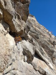 Strapiombino di L4 (6a)