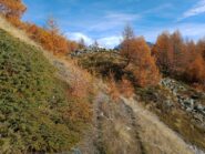 subito dopo aver imboccato il sentiero corretto al bivio poco accennato 