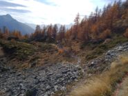 bivio in questione: rosso corretto, blu sbagliato