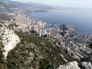 Montecarlo 1 