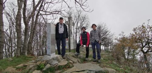 In vetta