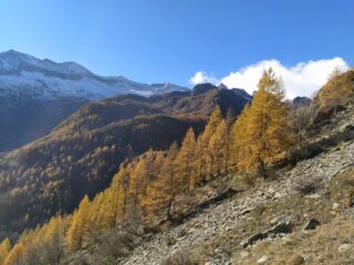 Panorama dall'attacco