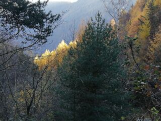 autunno