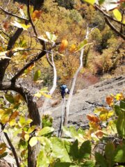 Alberto sulla placca di L2