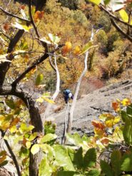 Alberto sulla placca di L2