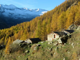 Pian Bosco