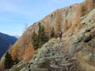 Alta Via 2