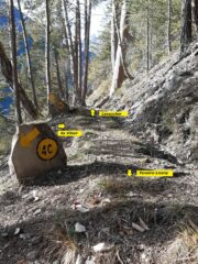 L’arrivo, lungo il 4C, al Ru des Côtes dove si incrocia il sentiero 4B che va poi seguito in salita verso destra.