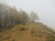 Discesa tra nebbia e colori autunnali