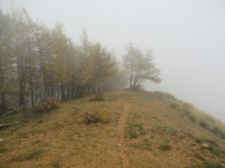 Discesa tra nebbia e colori autunnali