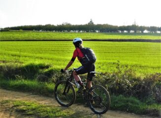 Ritorno in campo aperto.