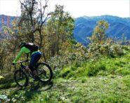 Inizio discesa Cumin Brundel.