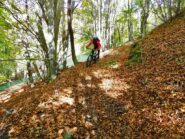 Nel tratto finale del Brundel.