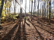 Immersi nell'autunno.