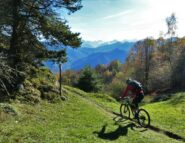 Tratti panoramici fuori dal bosco.