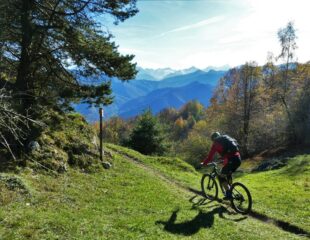 Tratti panoramici fuori dal bosco.