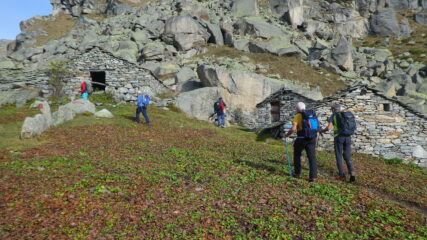 Alpe Balmot