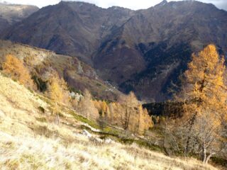 Sguardo verso valle dai pressi dell'Alpe Colma.