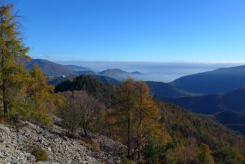 Uno sguardo verso la pianura, salendo
