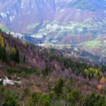 Scendendo verso il Colle di Zambla.