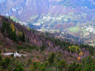 Scendendo verso il Colle di Zambla.