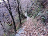 Pogallo - Cicogna