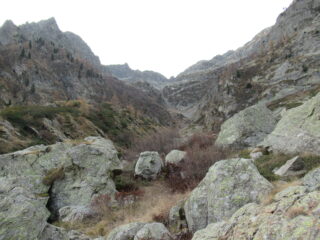 Vallone del Bors dai pressi del Gias