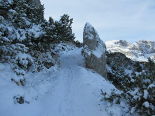 Passo del Duca (m.1989)