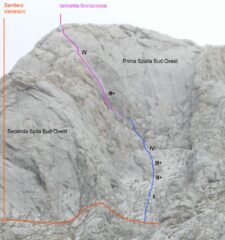 Placche Bianche+ Camino Jannetta