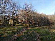 Discesa da Mindino tra i castagneti