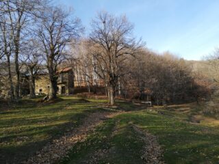 Discesa da Mindino tra i castagneti