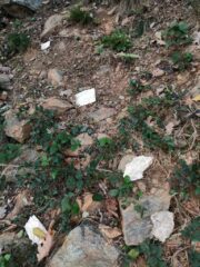 cartacce da culo in abbondanza