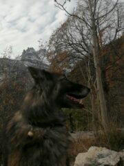 Halya e le Tenailles de Montbrison