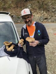 Un pò di porcini